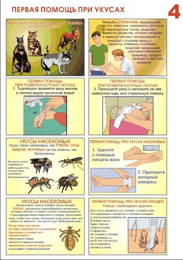 Презентация на тему укусы насекомых. Оказание первой доврачебной помощи при укусах насекомых. Оказание первой помощи при укусах насекомых. Оказания первой помощи при укусе жалящих насекомых. Первая помощь при укусах.