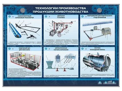 Процесс производства животноводства