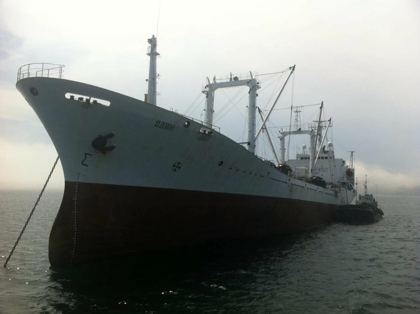 Транспортный рефрижератор охотское море. Орион 1 судно. Транспортный рефрижератор судно. Транспортный рефрижератор ахтарский лиман. Приемно-транспортный рефрижератор типа «гинтарас» dw1203 т,.