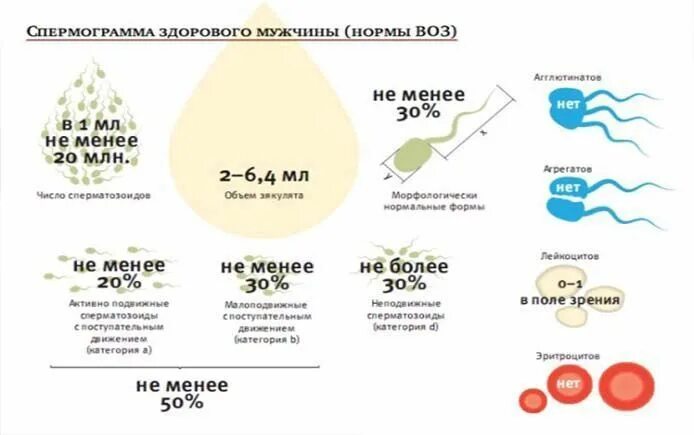 Спермограм БАД. Что будет если кончить в мужчину