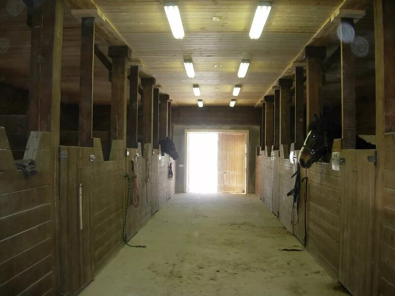 волышово манеж. капища усадьбы ясенево. конюшни строгановых псковская область. волышово конный завод. знаменское-раёк конный двор.