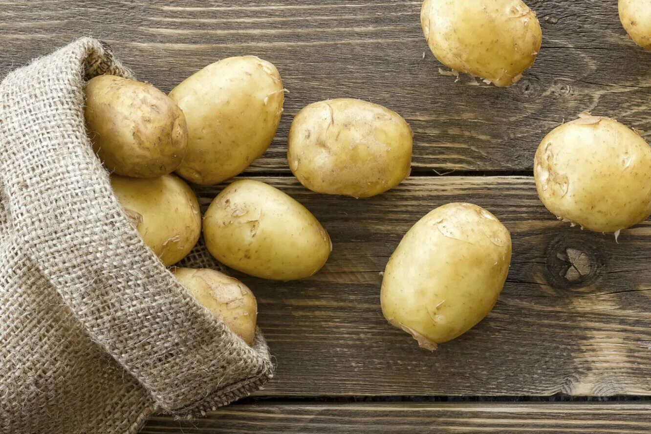 Картофель какая среда. Картофель Арроу. Сорт картофеля Арроу. Завоз семян картофеля. Сорт картошка Арроу фото.