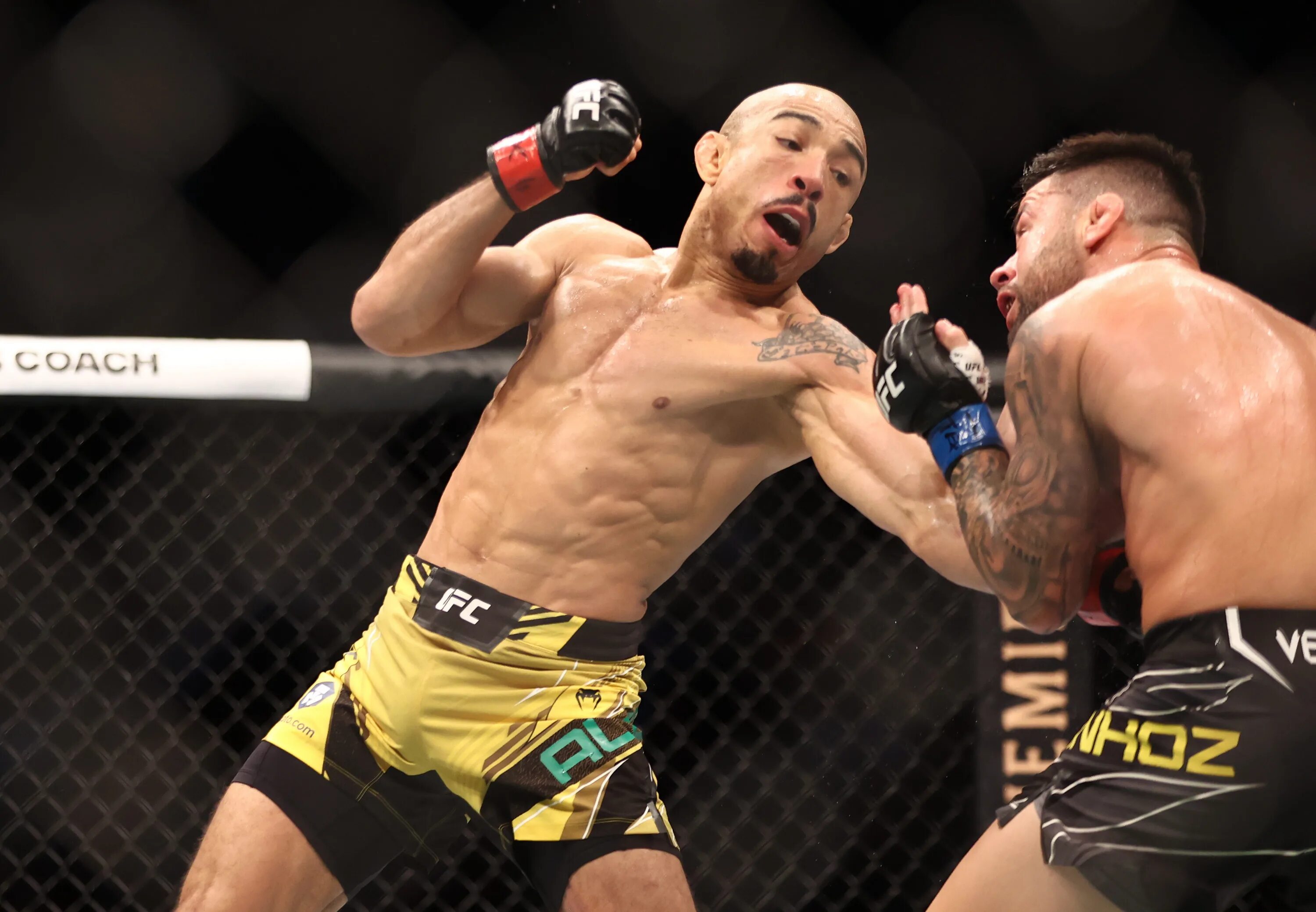 Дата боев ufc. Жозе альдо. альдо ufc. конор макгрегор жозе альдо.