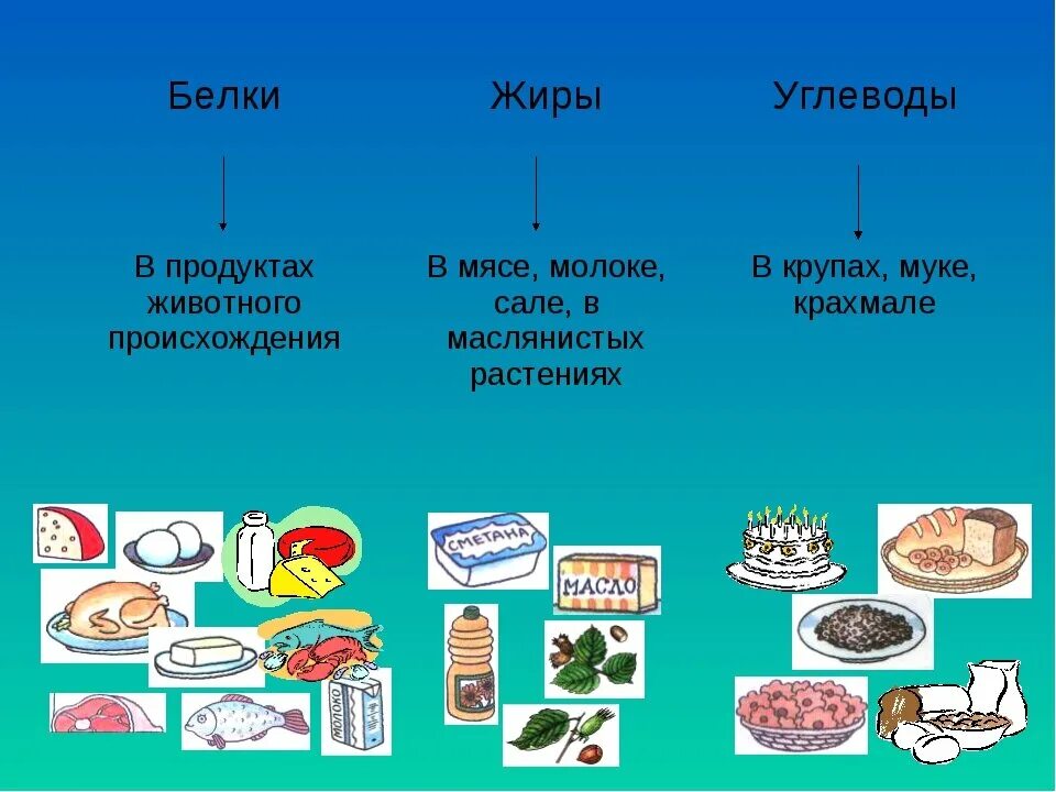 Пища человека белки жиры и углеводы. Белки жиры углеводы. Белки жиры углеводы в продуктах. Белки и жиры в продуктах. Белок жиры и углеводы.