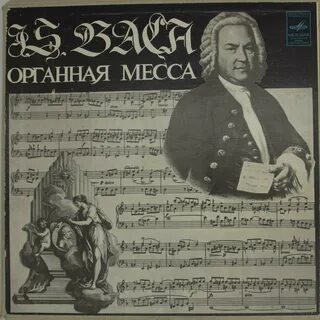 Бах высокая