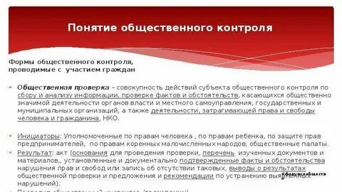 2 субъекты общественного контроля
