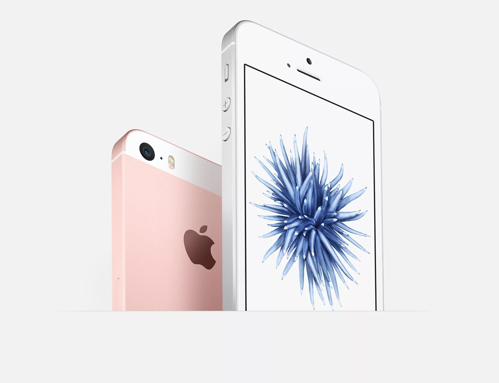 Apple se 64. Apple iphone se 32gb Silver. Iphone se 64gb Silver. Айфон se золотой. Смартфон iphone se 3 64 GB Япони.