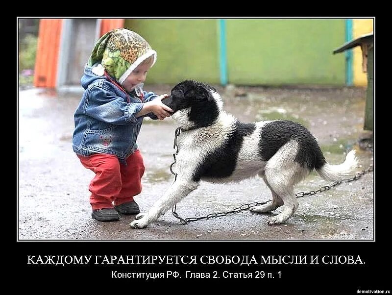 Право на свободу научного творчества. Футболка мысли. Свобода слова свобода мысли. Каждому гарантируется свобода. Дети и собаки смешное.