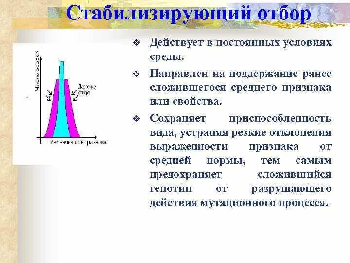 Стабилизирующий отбор. Стабилизирующий отбор направлен на. Стабилизирующий естественный отбор. Стабилизирующий отбор иллюстрации. Условия среды изменяются какой отбор