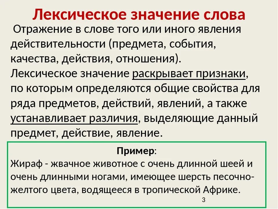 Эрудиция лексическое значение