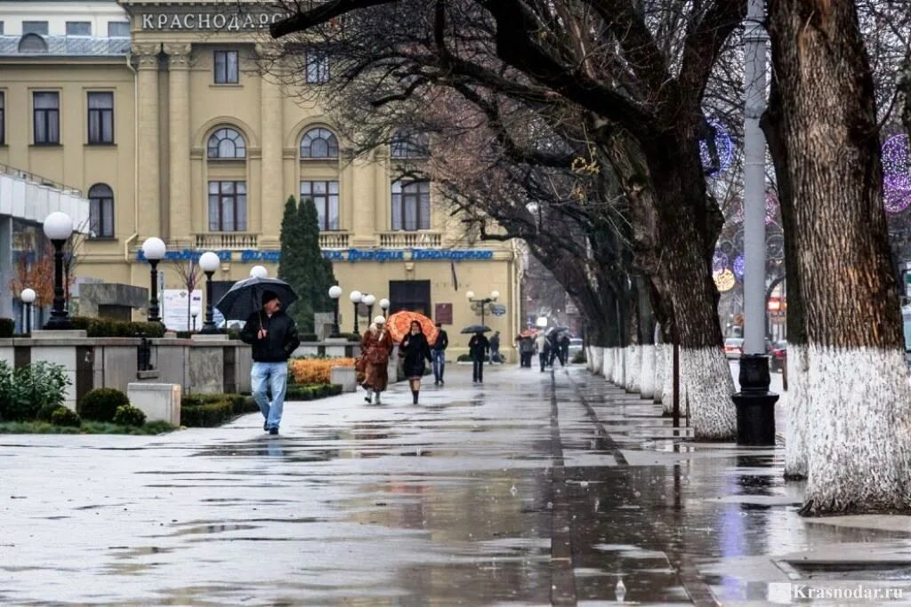 Погода в самом краснодаре. Осень дождь Краснодар. Дождь в Краснодаре. Краснодар пасмурно. Дождь Краснодар зима.