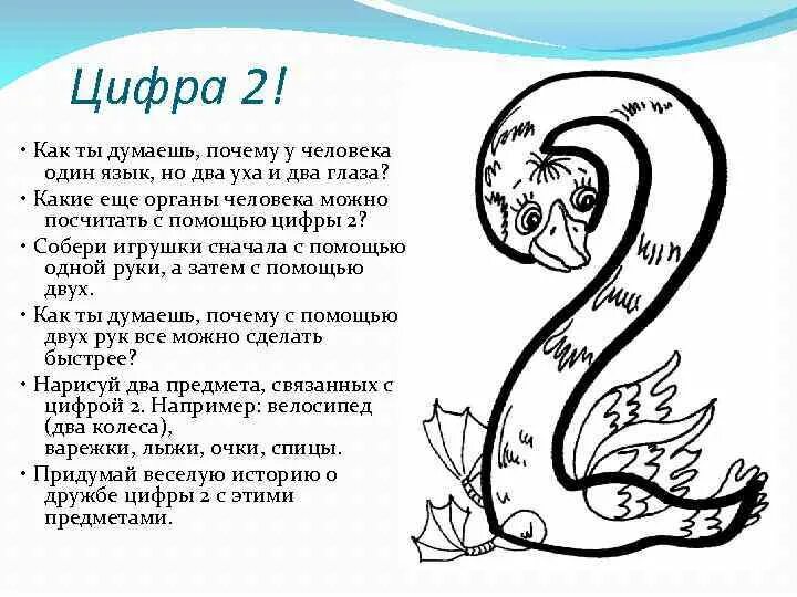Двойки значение цифр. Цифра два. интересные факты о цирфе 2. интересные факты о цифрах. факты про цифру 2.
