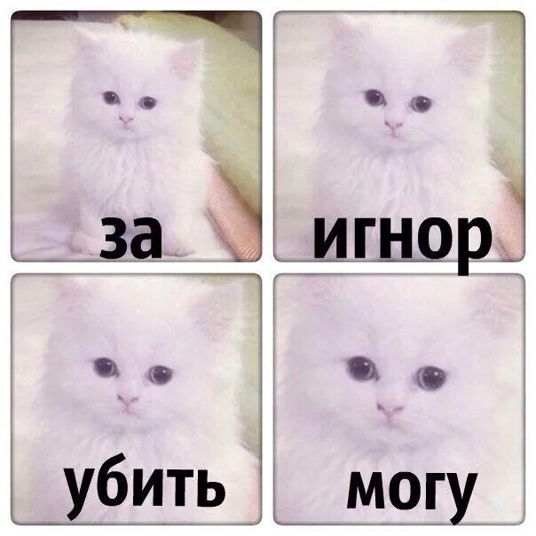 Игнорить бывшую