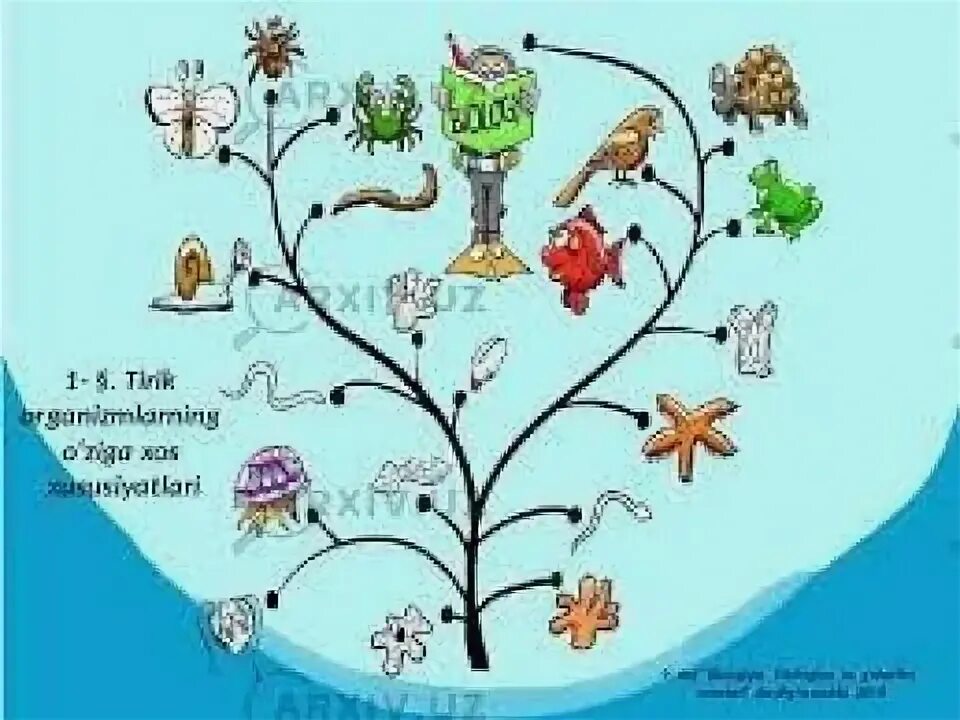 Биология дарслик. Занимательная биология для детей. Дни защиты от экологической опасности. Рамка зоология. Olimpiada.