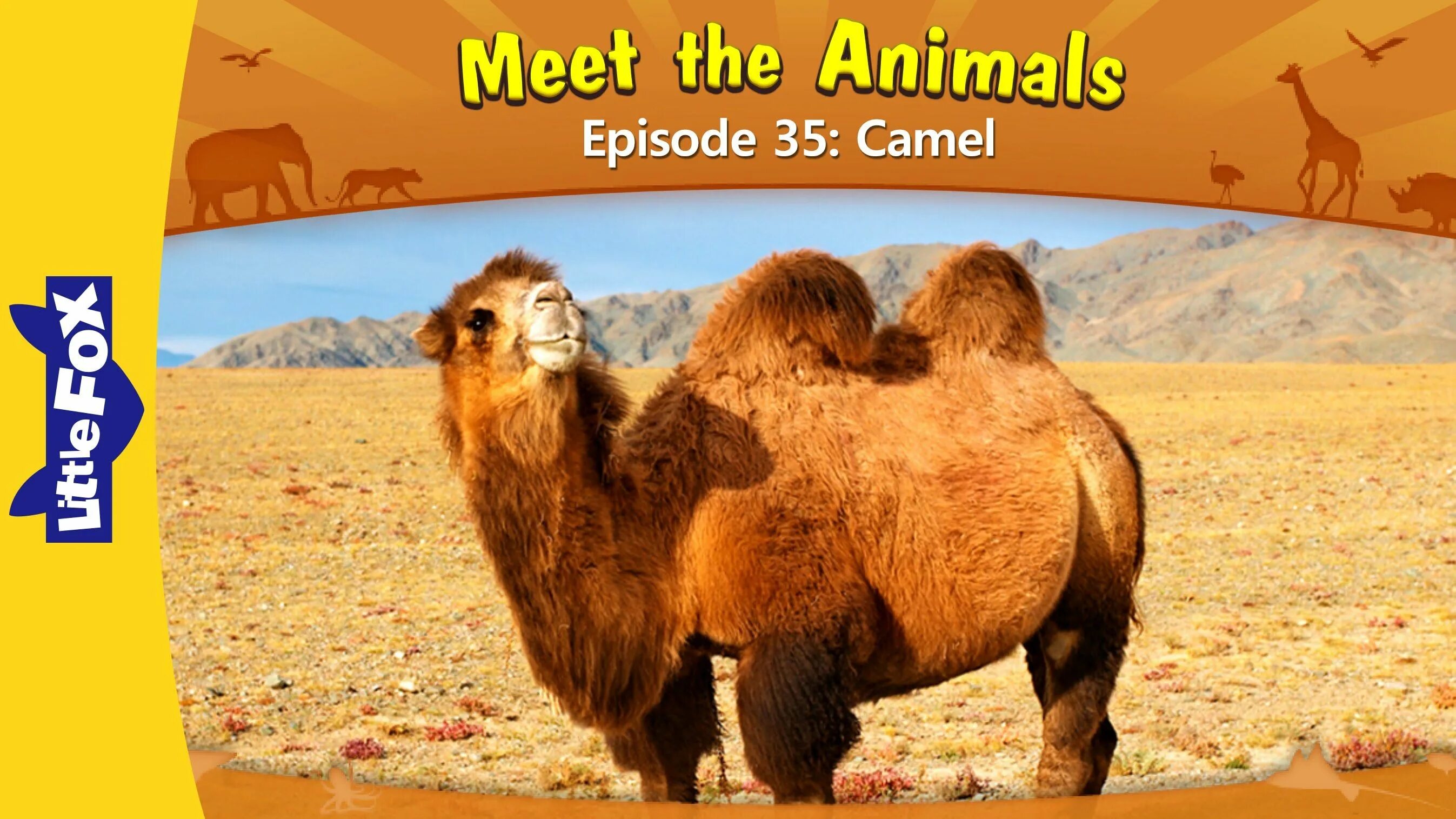 Meet the animals little fox. Meet the animals little fox панда. Meet the animals 2. Meet the animals little fox 21. Meet the animals little fox.