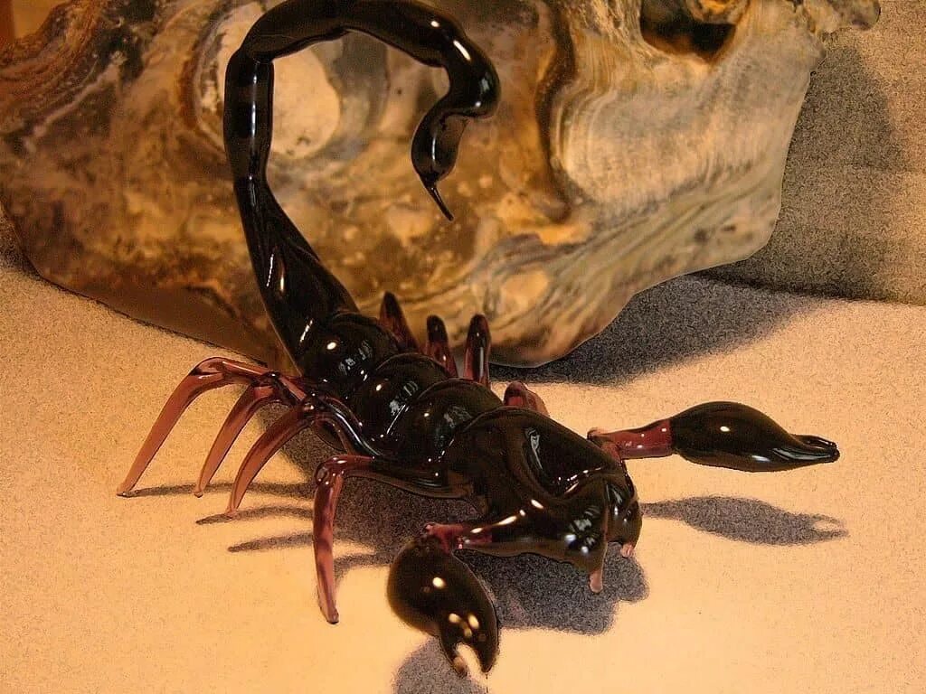 Скорпион профессии. Карма скорпиона. Императорский скорпион. Карма скорпиона. Характер скорпиона.