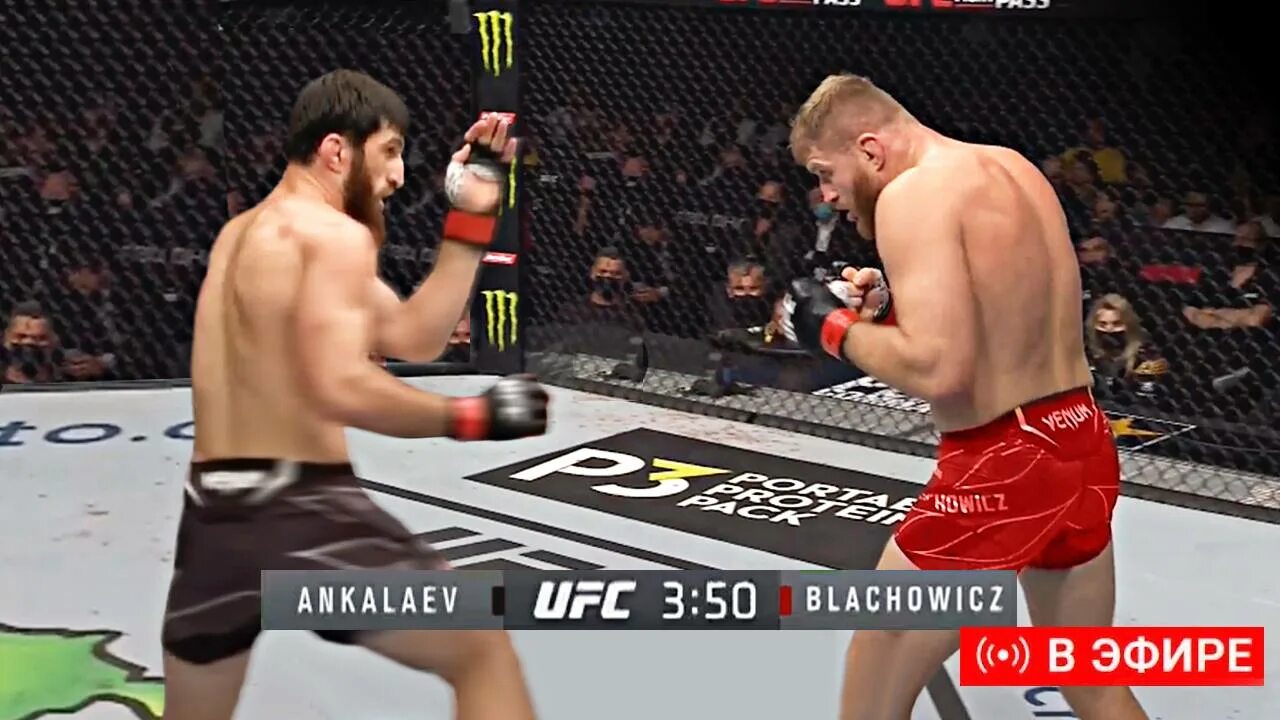 Ufc efir. Магомед Анкалаев UFC.