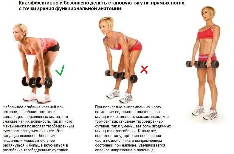 Становая тяга техника выполнения для женщин
