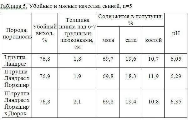 Сколько теряет мясо. Выход мяса свиньи от живого веса таблица. Выход мяса свинины от живого веса таблица. Живой вес свиньи таблица выхода мяса. Какой выход мяса у свиней от живого веса таблица.