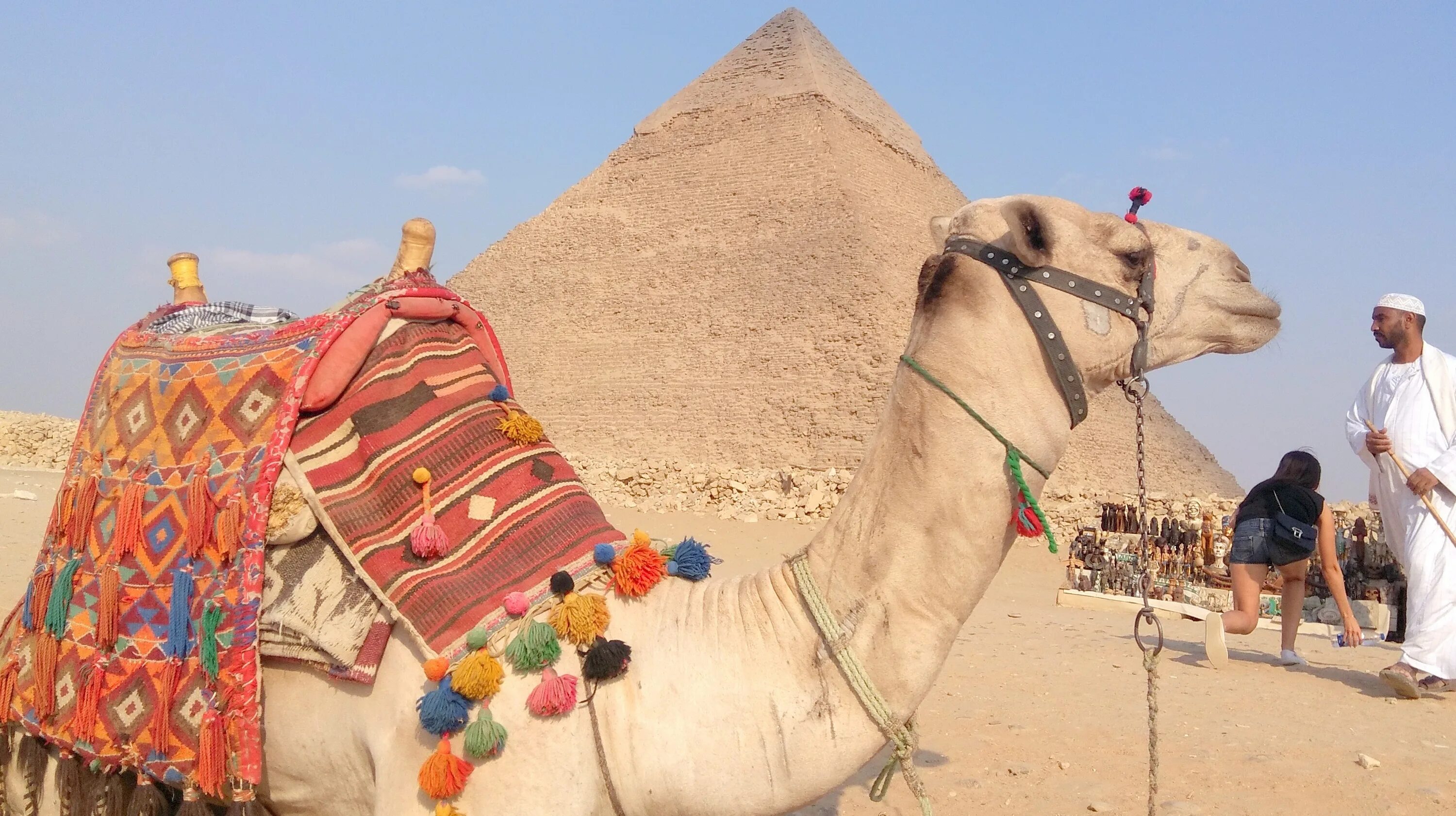 пирамиды в египте. египет в феврале из москвы. дахаб египет. путешествие по александрий. египет терма бич резорт.