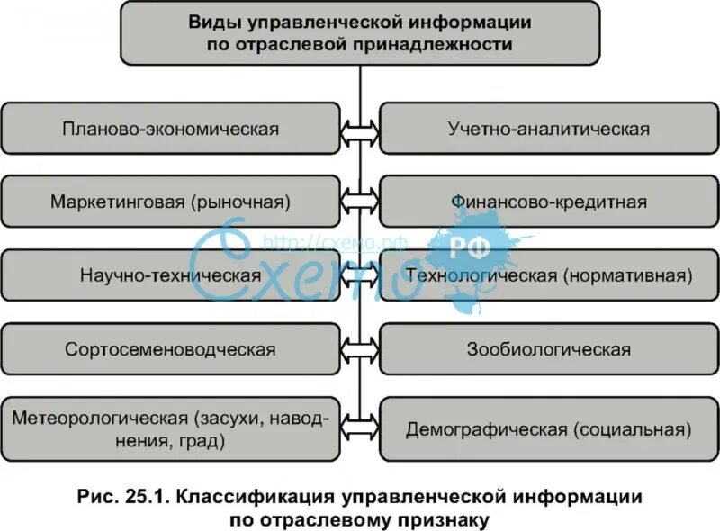 Формы управления информацией. Классификация управленческой информации. Классификация информации в менеджменте. Признаки классификации управленческой информации. Классификация управленческой информации схема.