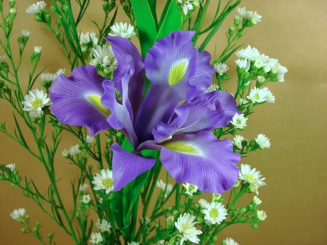 ирис луизианский. ирис порцелана. Ex nihilo iris porcelana. ирис холодный фарфор. Ex nihilo iris porcelana.