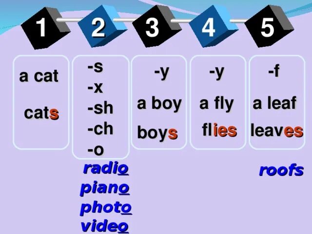 Правило с окончанием s es IES. Множественное число s es IES. Множественное число в английском s es. Fly с окончанием s. F o x 3 1
