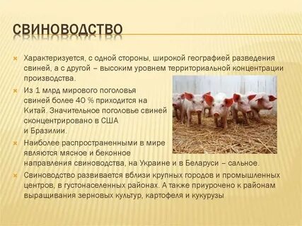 Факторы влияющие на размещение животноводства
