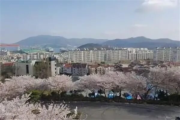 Коджа корея