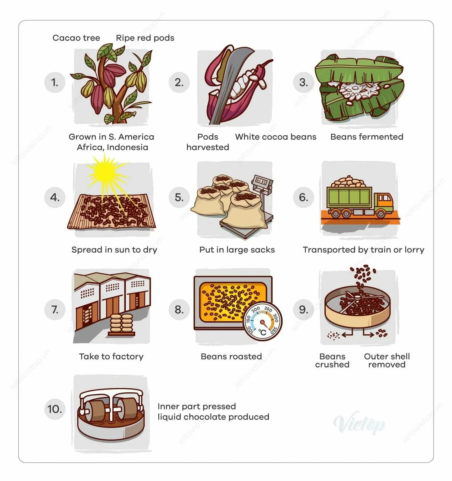 Writing process is. Ielts writing task 1 process. ielts task 1 process chocolate. ielts writing task 1 process diagram. ielts writing process.
