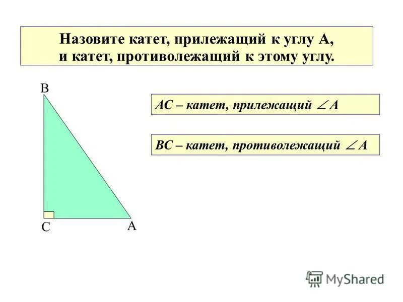 13 катет противолежащий углу