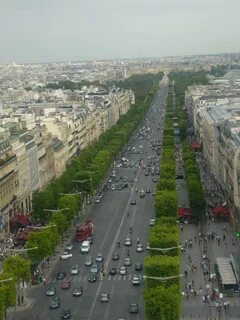 Des champs