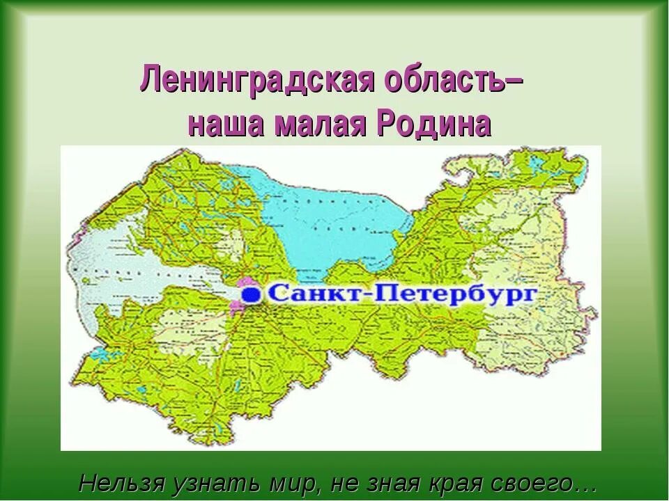 Информация о ленинградской области. Природа родного края Ленинградская область. Мой родной край Ленинградская область. Проект мой родной край Ленинградская область. Ленинградская область поверхность края.