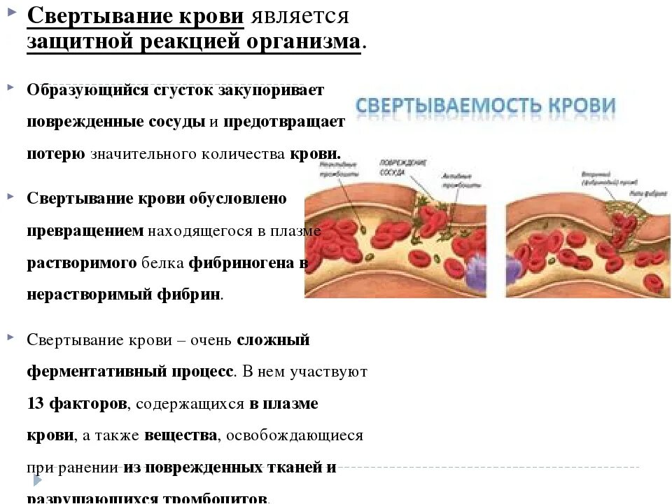 Свертывание крови тест. Механизм свертываемости крови 8 класс. Свертывание крови анатомия. Нарушение процесса свертывания крови. Функции свертывания крови.