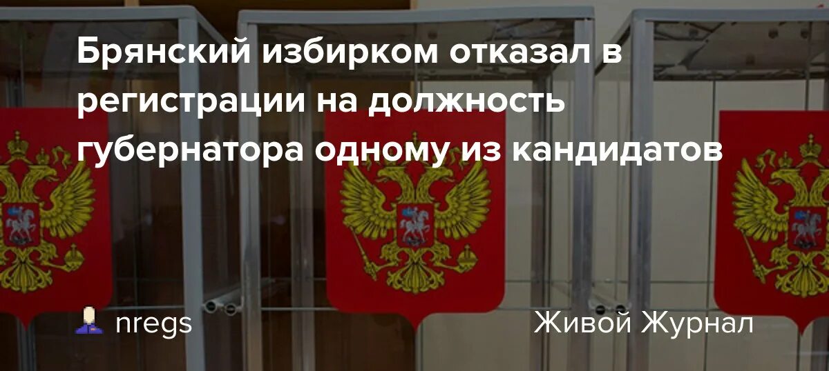 Брянский избирком сайт. Избирательная комиссия Брянской области. Глава избиркома Брянской области.