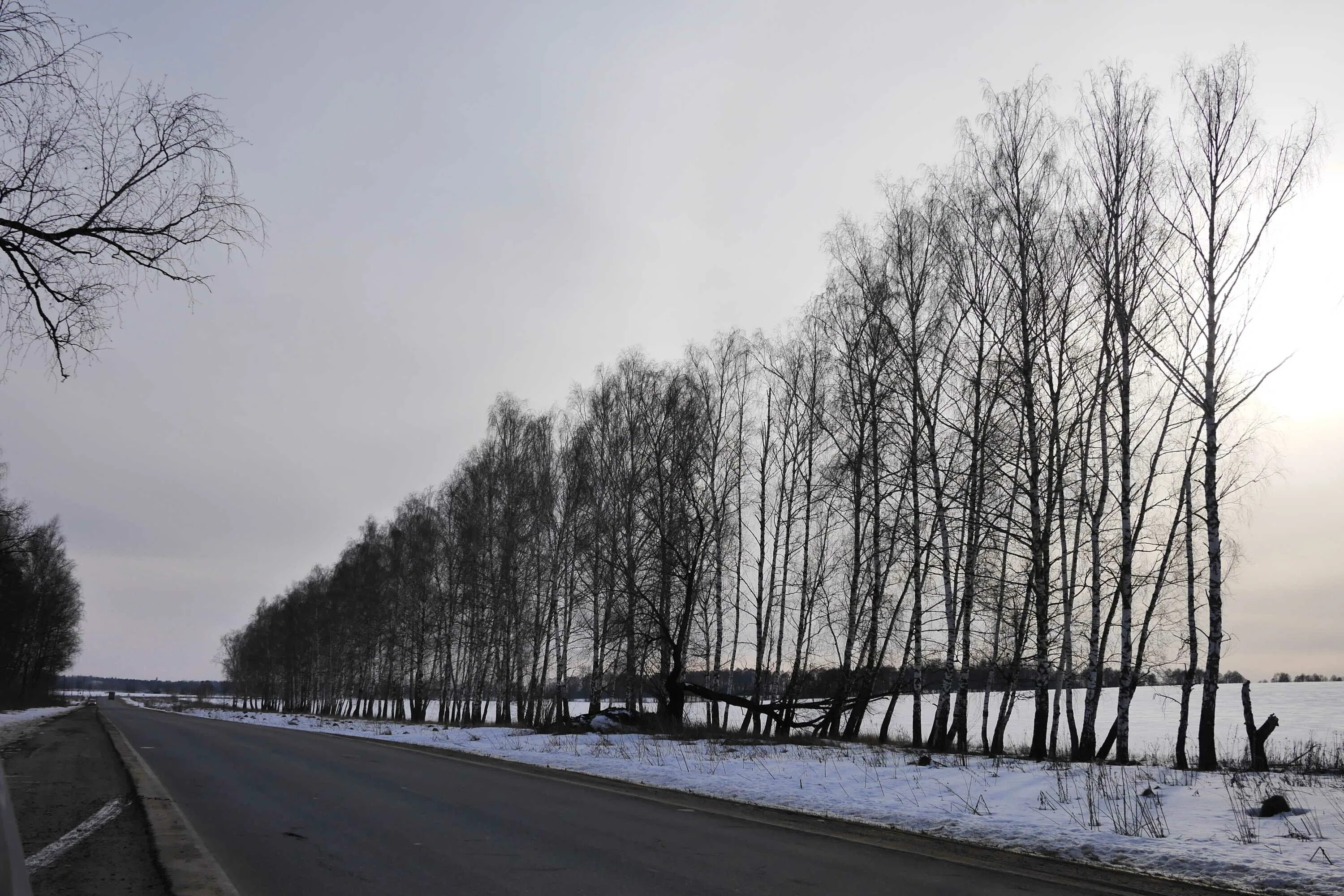 Тарусская серпухов завтра