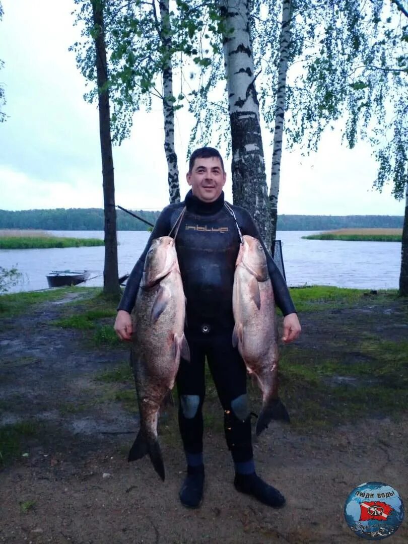 Сброс воды десногорское. Десногорское водохранилище. Десногорское водохранилище толстолобик. Водохранилище Десногорск. Десногорское водохранилище Толстоооб.