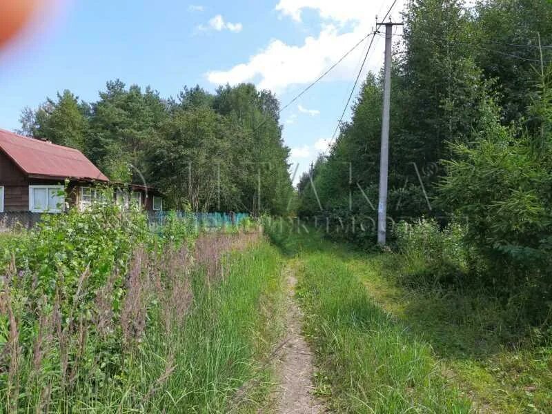 Снт полимер. Пупышево (садоводческий массив). Пупышево Ленинградская область. Пупышево СНТ Заря 2 линия. Пупышево СНТ уют 2.