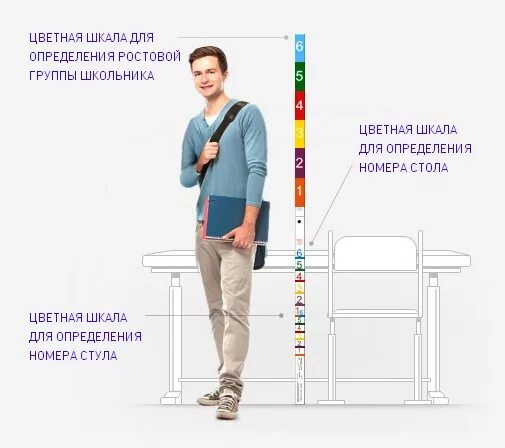 5 7 группа роста. Ростомер в школе по САНПИН. Ростовая линейка для школьной мебели. Ростомер для школьных парт. Линейка ростомер для школьных парт.