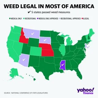 State opinion