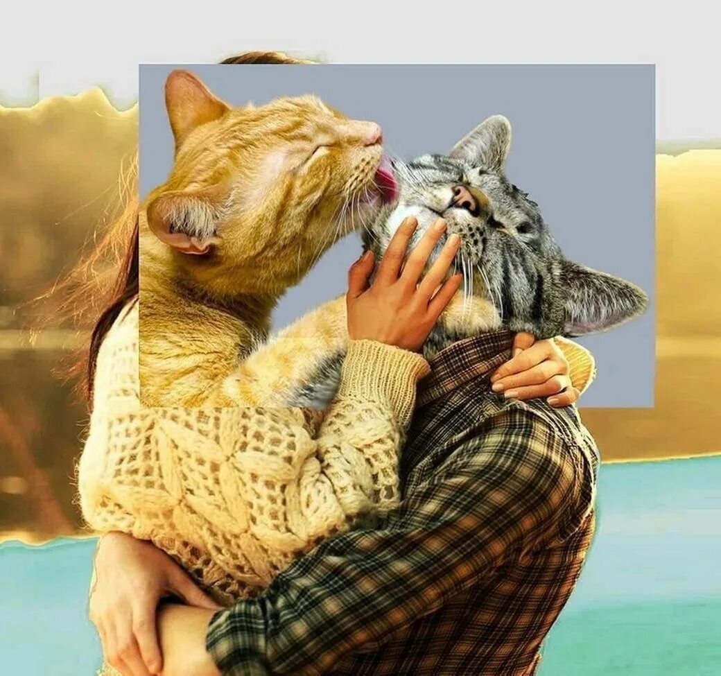 Два котика. Коты воители белогривка. Милота для парня. Парные аватарки котиков. Аниме пары с ушками.