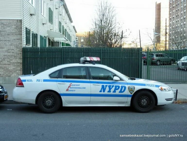 Где ездит полиция. Полиция польши машины. Ауди р8 дпс санкт-петербург. Департамент полиции нью-йорка. Nypd додж.