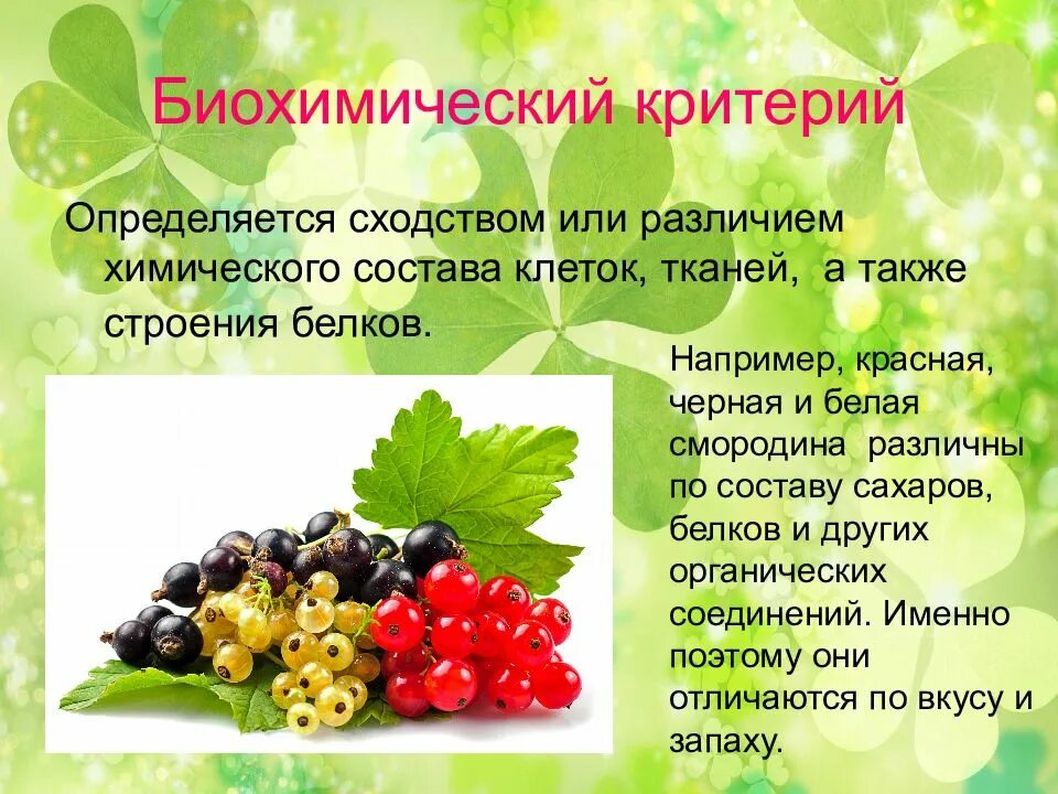 Биохимический критерий описание. Физиолого-биохимический критерий. Биохимический критерий примеры. Биохимический вид примеры. Физиолого-биохимический критерий примеры.