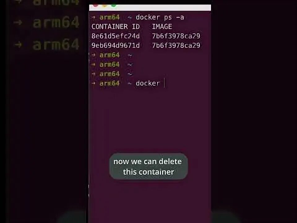 Error response from daemon no such container. Error response from daemon no such container