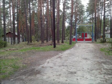 Лагерь сосновый бор