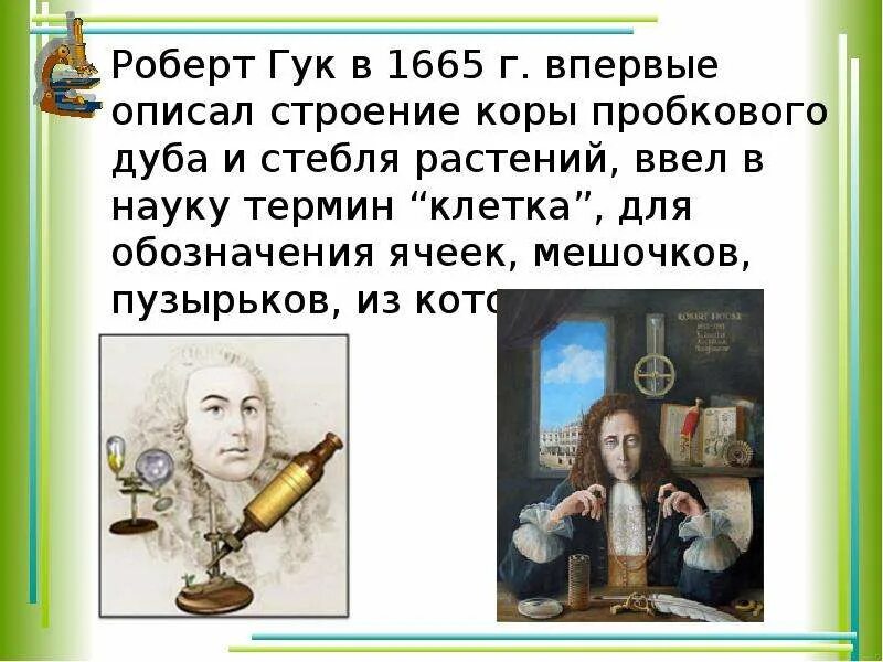 Сообщение о гуке. Сообщение о гуке