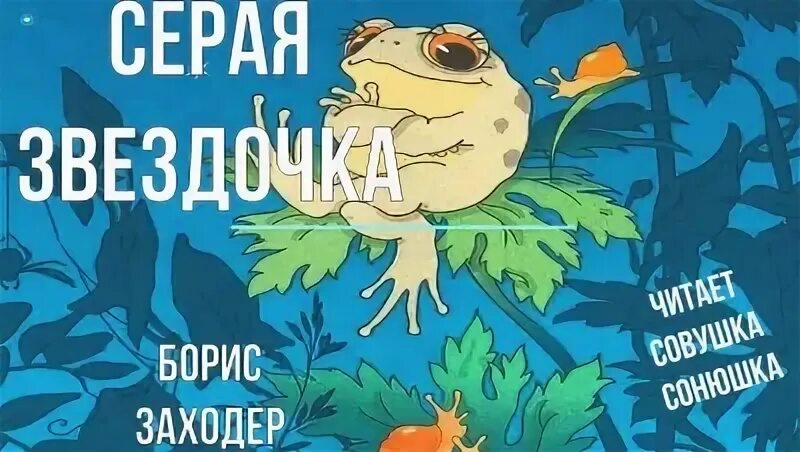 Заходер серая звездочка краткое
