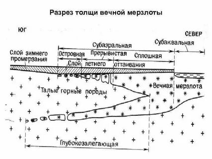 Вечно строен