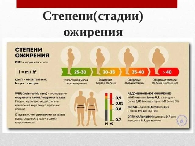 Степени ожирения. Ожирение 1 степени. Степени детского ожирения. Ожирение 1 степени у детей.