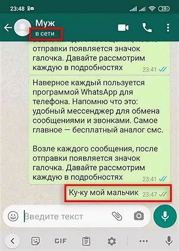 Что означает две серые галочки в ватсап